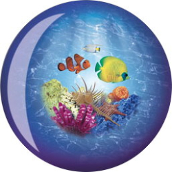 VIZ-A-Ball  Ocean Life