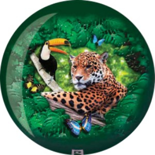 VIZ-A-Ball  Jungle