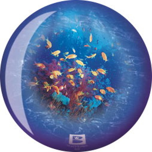 VIZ-A-Ball  Ocean Life